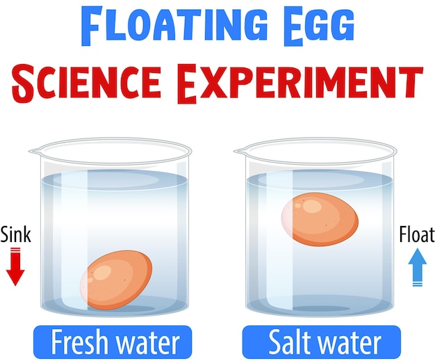 Free vector floating egg science experiment