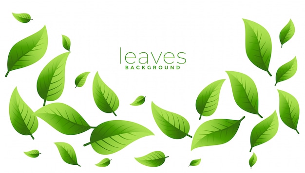 Green leaves Vectors & Illustrations for Free Download | Freepik