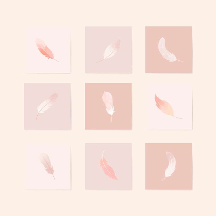 Free Vector floating feathers set