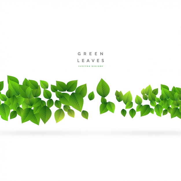 Free vector floating green leaves on white