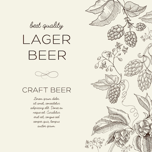 Floral abstract light  with text and beer herbal hop branches in hand drawn style