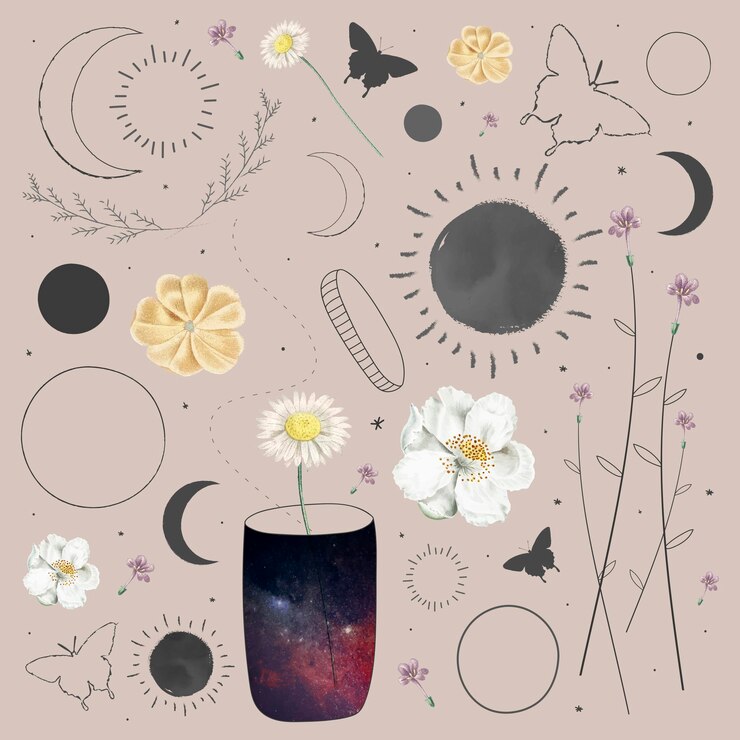 Free Vector floral and astronomical element collection design vector