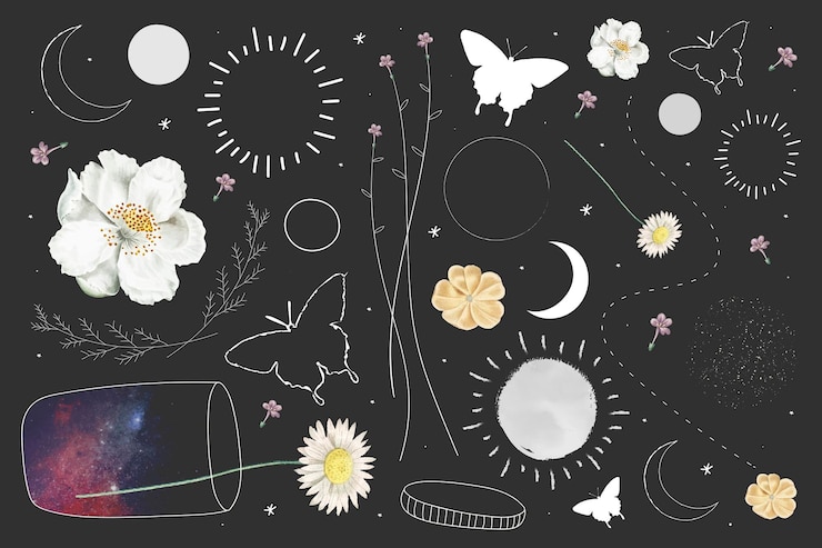 Free Vector floral and astronomical element collection