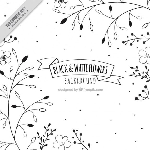 Floral background in black and white, hand drawn