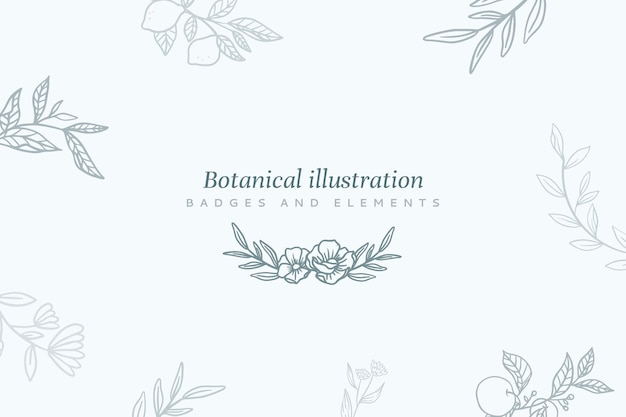 Free vector floral background with botanical illustration
