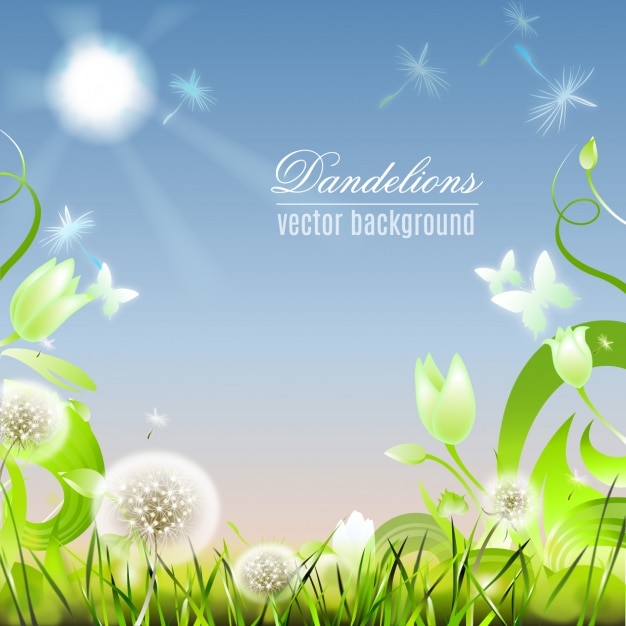 Floral background with dandelions