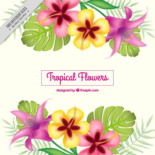 Free vector floral background with exotic plants