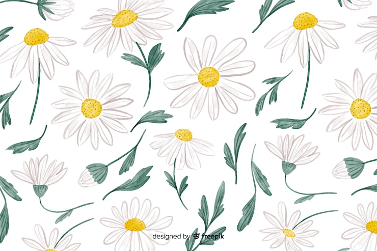 Free Vector floral background with watercolor daisies