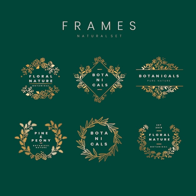 Free vector floral botanical frame collection