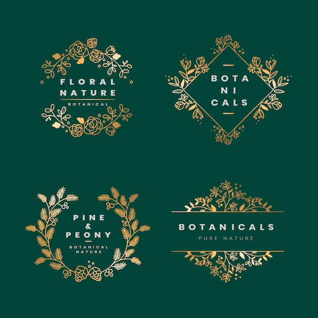 Free vector floral botanical frame collection