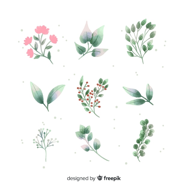 Free vector floral branch collection made with watercolors