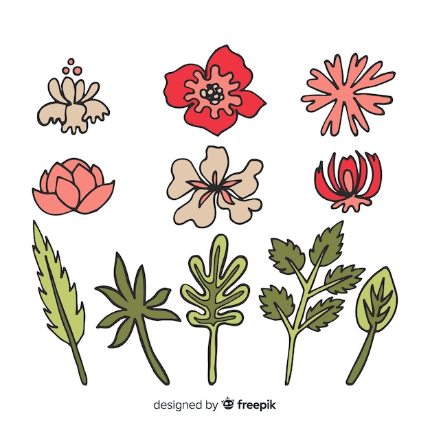 Free vector floral decoration element collection