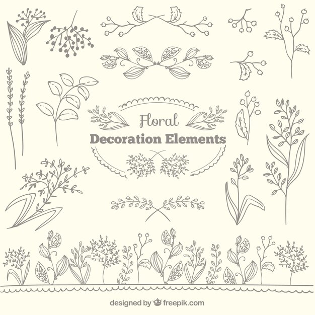 Floral decoration elements collection