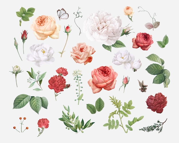 Floral design background Free Vector