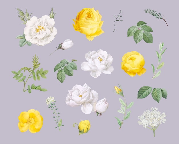 Free vector floral design background