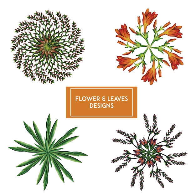 Free vector floral designs collection