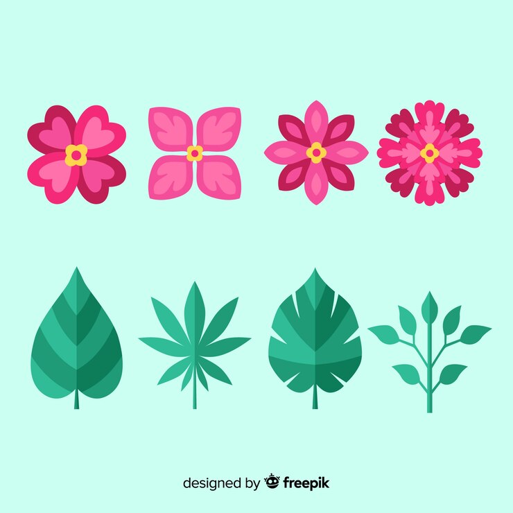 Free Vector floral element collectio