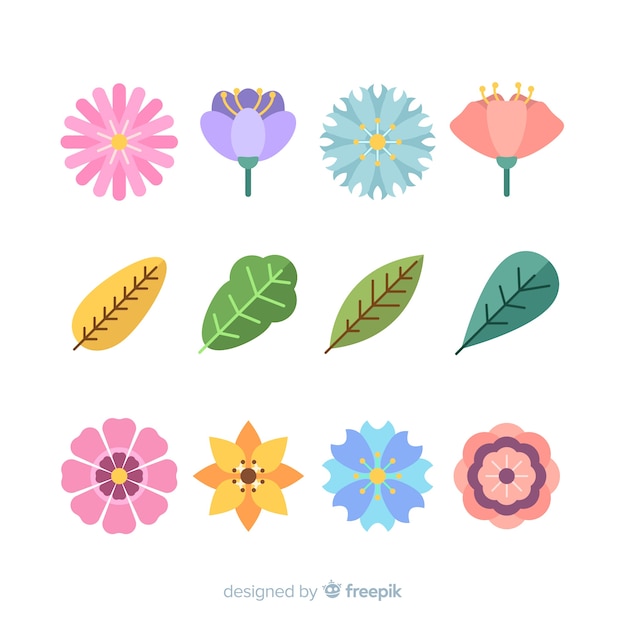 Free vector floral element collectio