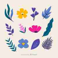 Free vector floral element collectio