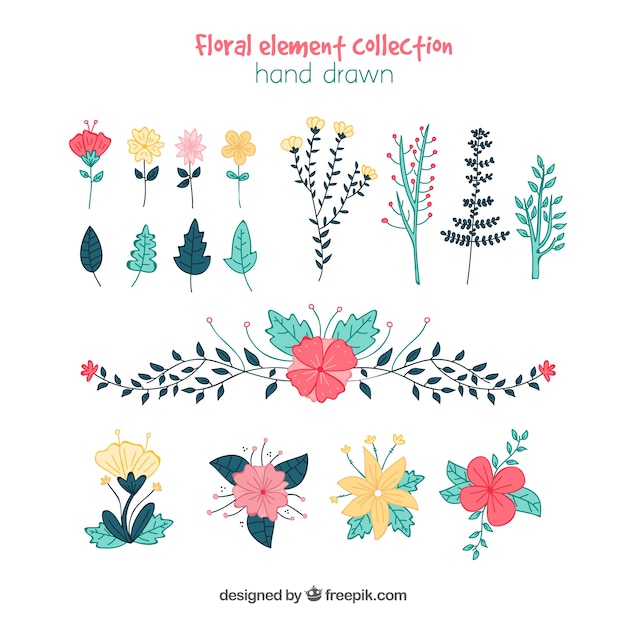 Floral element collection with hand drawn style