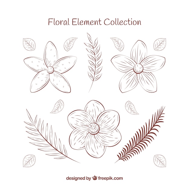 Floral elements collection in hand drawn style