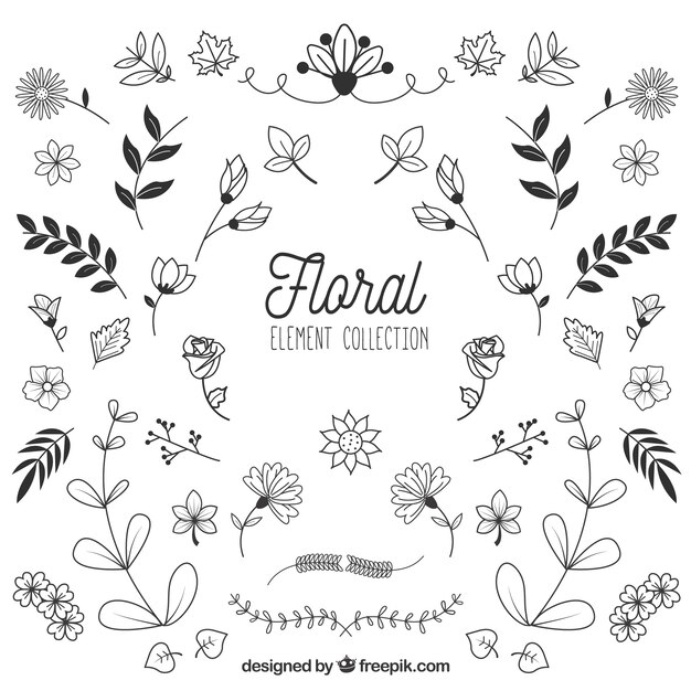 Floral elements collection in hand drawn style