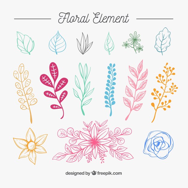 Floral elements collection in hand drawn style