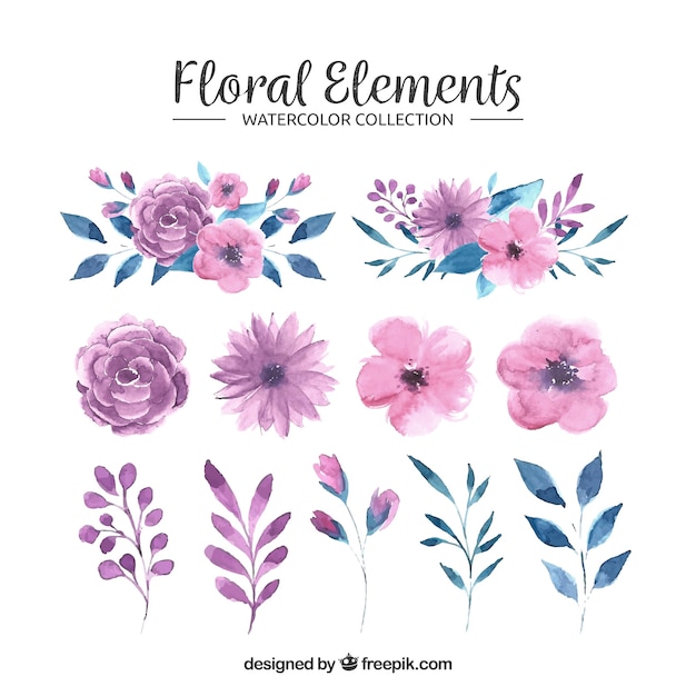 Download Free Floral Elements Collection In Watercolor Style Svg Dxf Eps Png Download Free Svg Cut Files