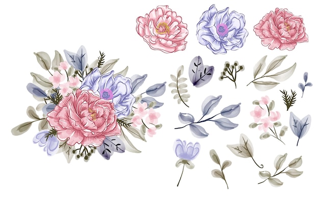 Floral elements collection, watercolor flower set