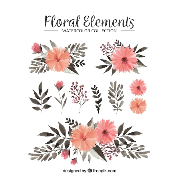 Floral elements collection in watercolor style