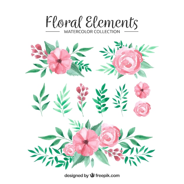 Floral elements collection in watercolor style