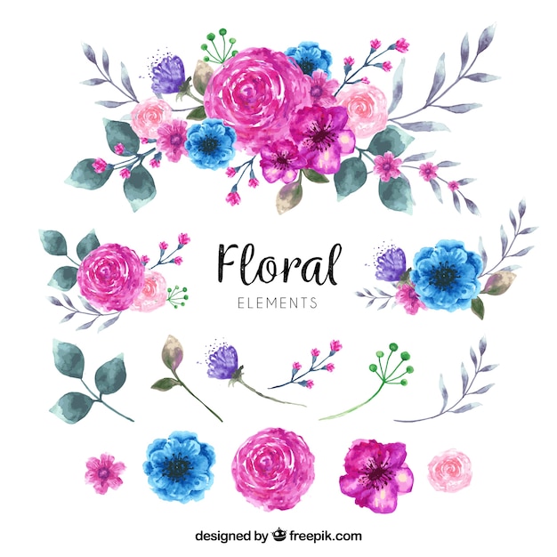 Floral elements collection in watercolor style