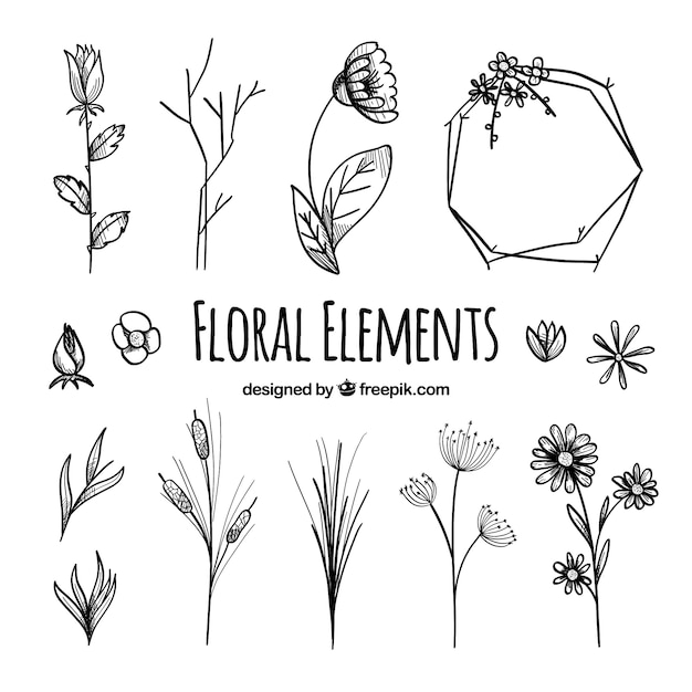 Floral elements collection with different species