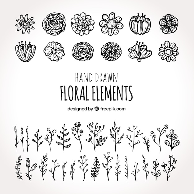 Floral elements collection with different species