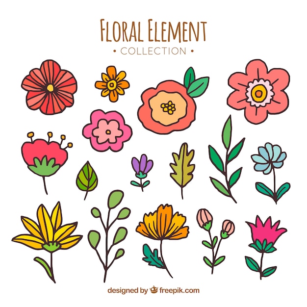 Floral elements collection 