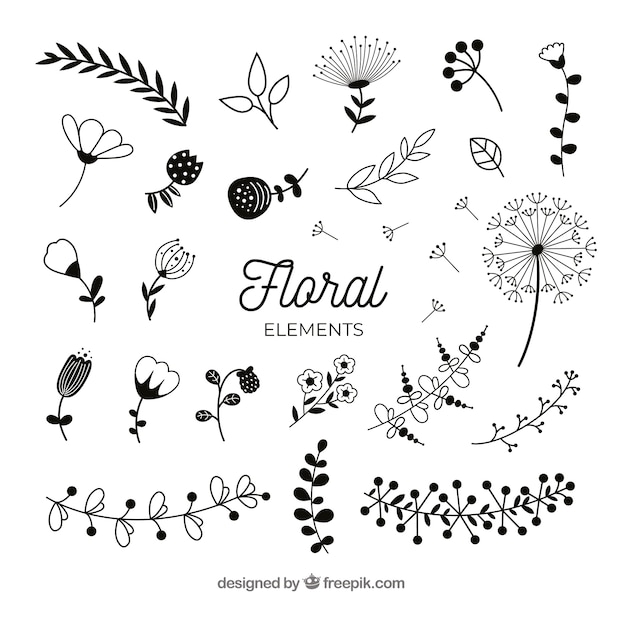 Free vector floral elements collection