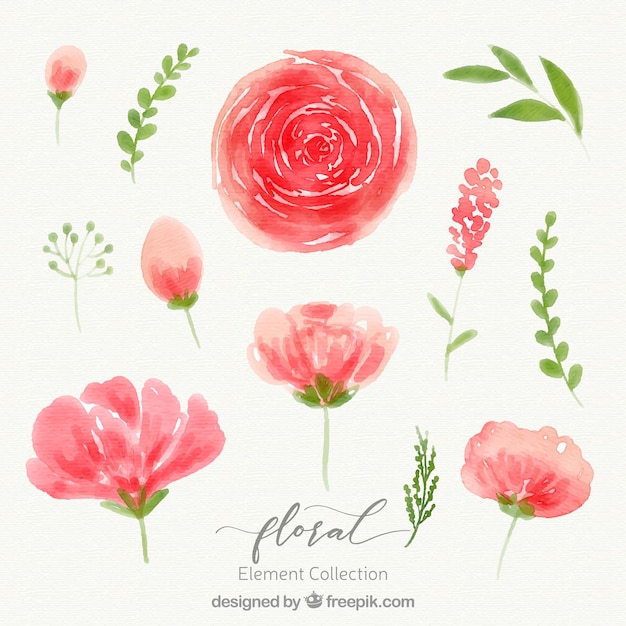 Free vector floral elements collection