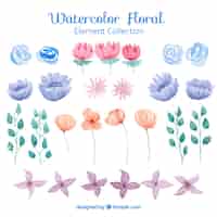 Free vector floral elements collection