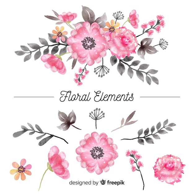 Free vector floral elements