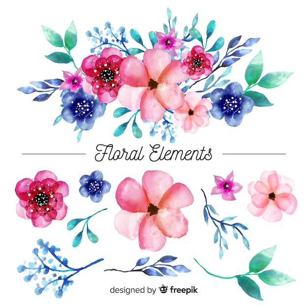 Vettore gratuito elementi floreali