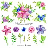 Free vector floral elements