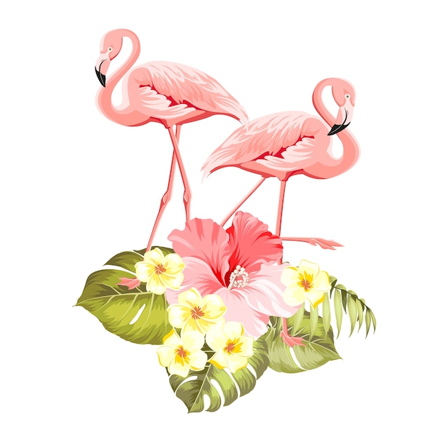 Free vector floral exotic natural decoration. safary summer background with tropical leaves silhouette, blooming plumeria flowers, and flamingo birds.