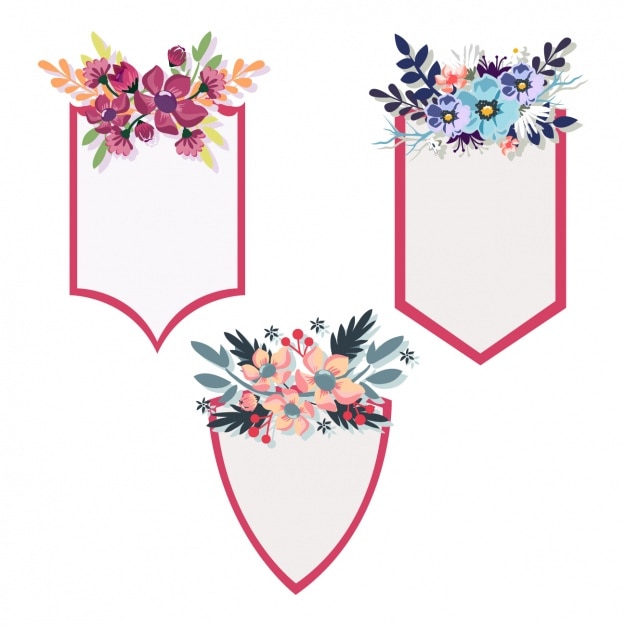 Free vector floral frames collection