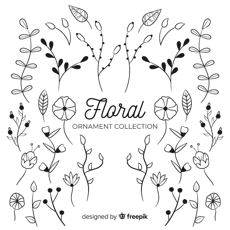 Free Vector floral hand drawn ornament collection
