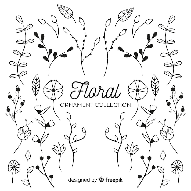 Floral hand drawn ornament collection