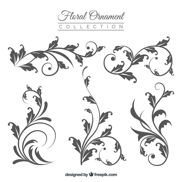 Floral ornaments collection