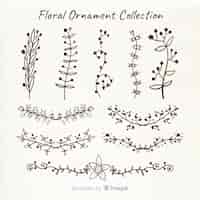 Free vector floral ornaments collection