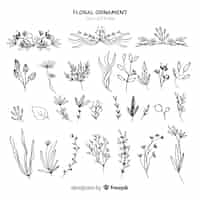 Free vector floral ornaments collection