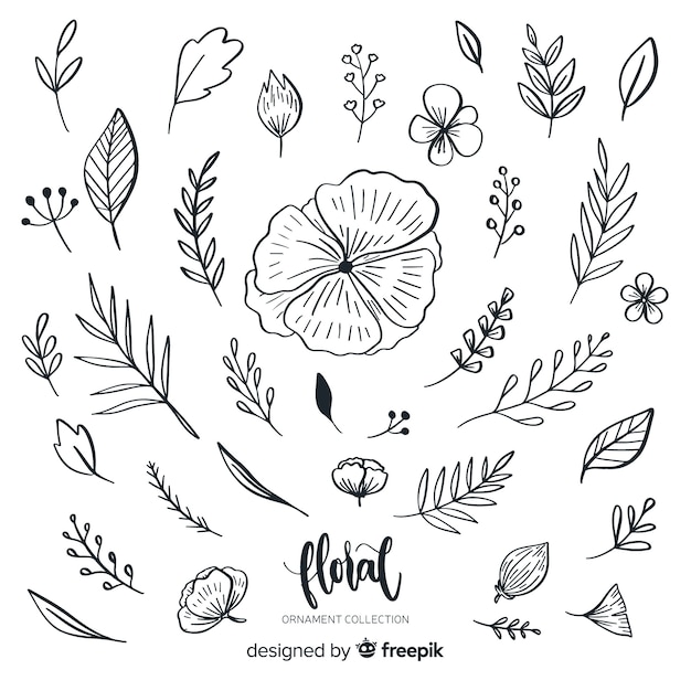 Free vector floral ornaments collection