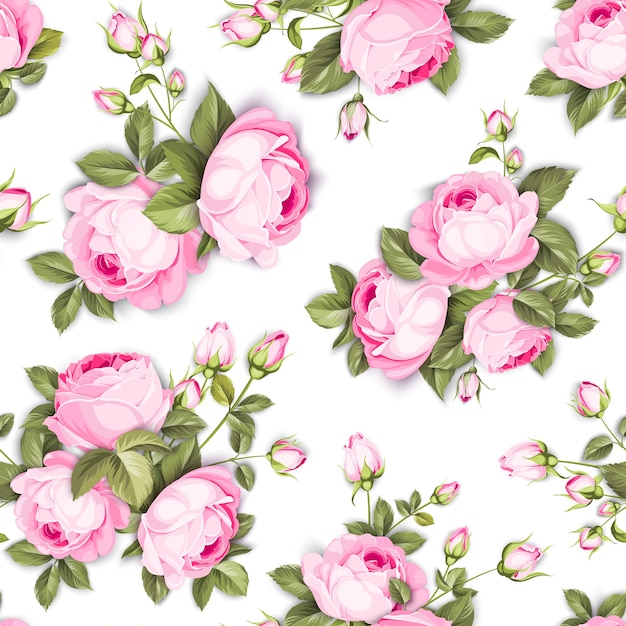 Floral seamless pattern. Blooming roses on white background.